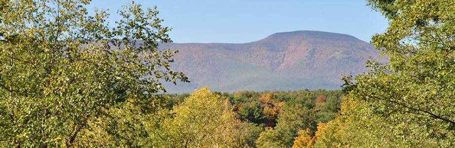 Washington County Ny Gis Washington County Parcel Viewer